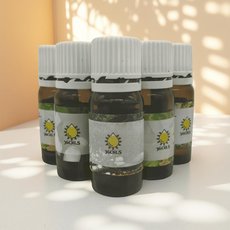 Rudolph'sBlend - 10ML