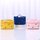 Lace Case-Shaped Makeup Bag